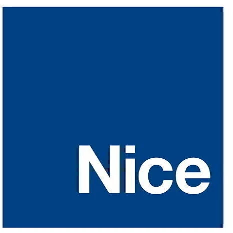 Nice Nice